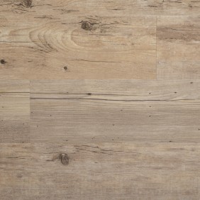 AUTHENTIC PLANK FERNE
