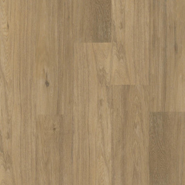 12044 PLANK