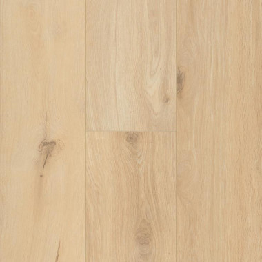 Gyant Sand Natural XL 12mm