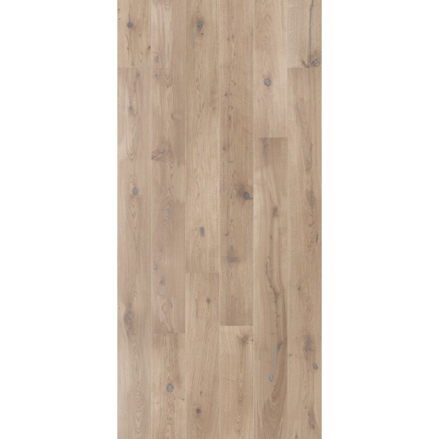SENSE OAK
