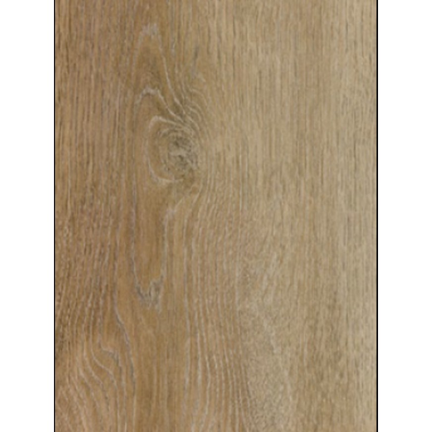 SOLID 529 ALMOND OAK