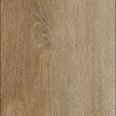 SOLID 529 ALMOND OAK